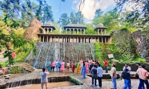 Rock Garden